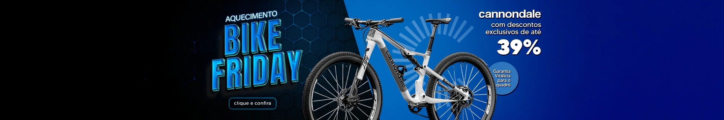 BIKE FRIDAY CANNONDALE 