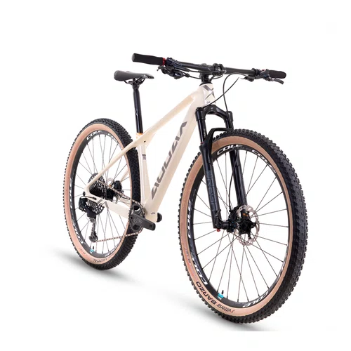 Bicicleta Audax Auge 800