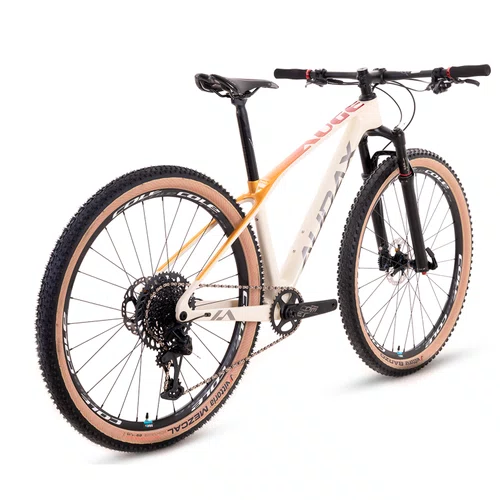 Bicicleta Audax Auge 800