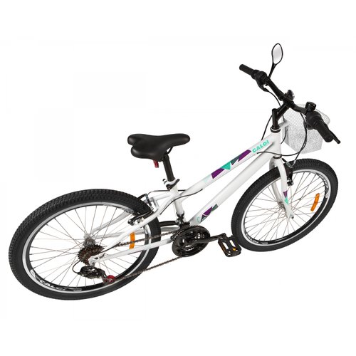 Bicicleta Caloi Ceci 24