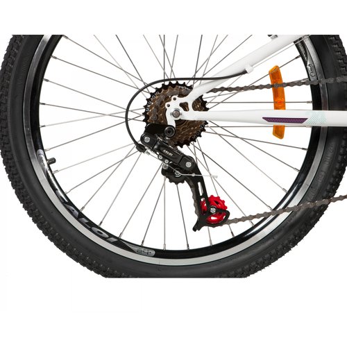 Bicicleta Caloi Ceci 24