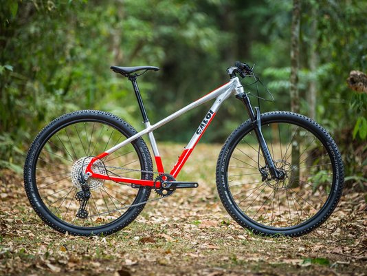 Bicicleta Caloi Elite