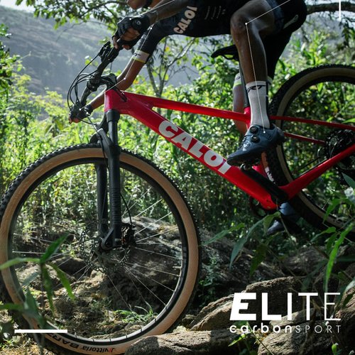 Bicicleta Caloi Elite Carbon Sport 2025