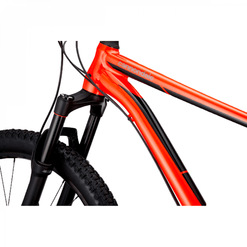 Bicicleta Cannondale Trail 2 2020
