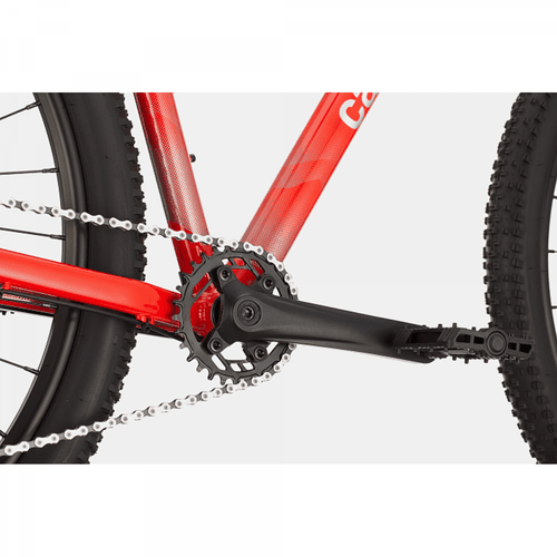 Bicicleta Cannondale Trail 5 Microshift 2021
