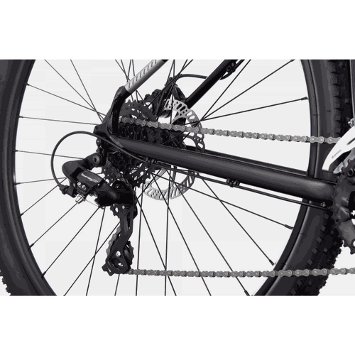 Bicicleta Cannondale Trail 8 2021