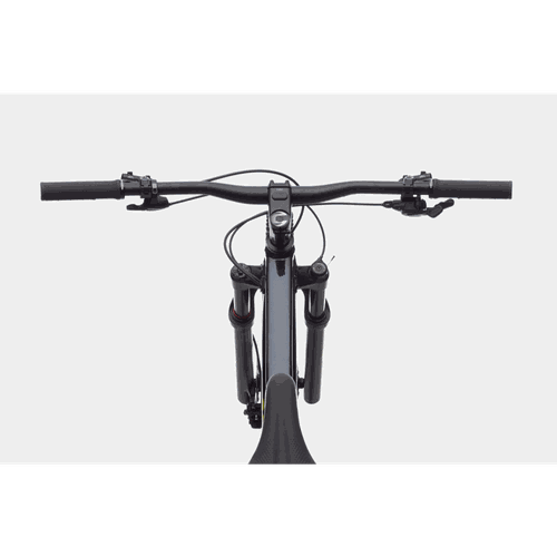 Bicicleta Cannondale Trail Sl 2 2021