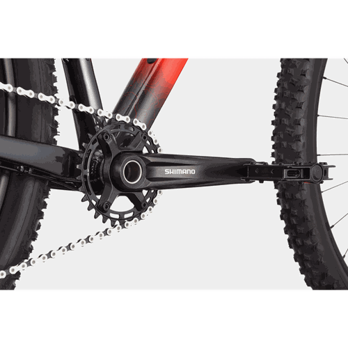 Bicicleta Cannondale Trail Sl 3 2021