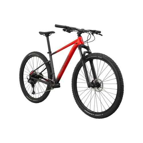Bicicleta Cannondale Trail SL 3