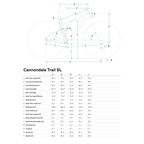 Bicicleta Cannondale Trail SL 3