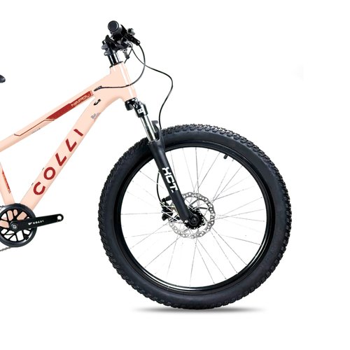 Bicicleta Colli Napoli Pro Aro 24
