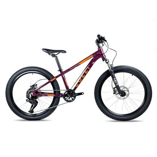 Bicicleta Colli Napoli Pro Aro 24 Bicicleta Colli Napoli Pro Aro 24