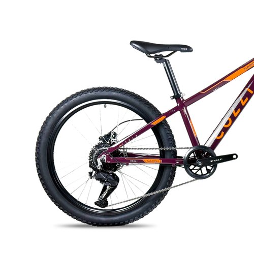 Bicicleta Colli Napoli Pro Aro 24