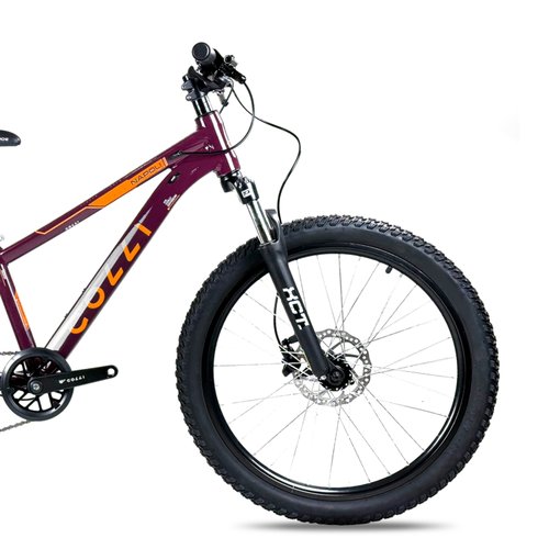 Bicicleta Colli Napoli Pro Aro 24