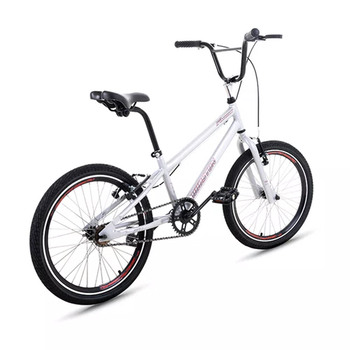 Bicicleta Houston Furion Aro 20