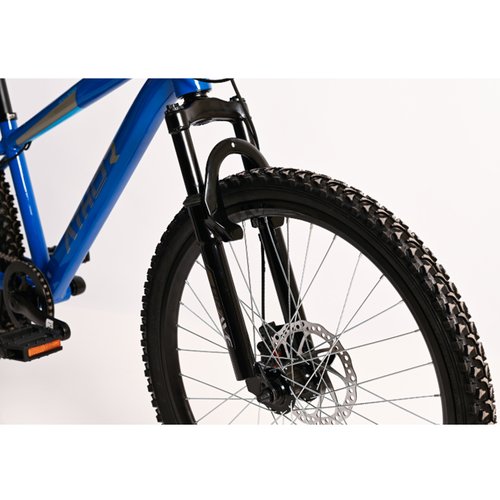 Bicicleta Infantil Athor Brave Aro 24