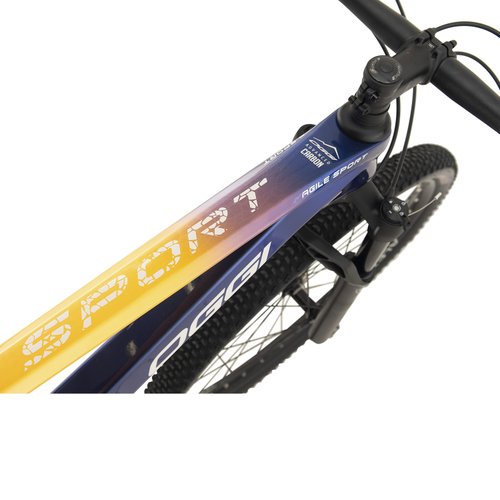 Bicicleta Oggi Agile Sport