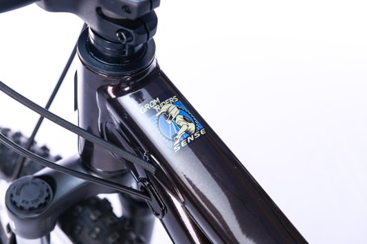 Bicicleta Sense Grom 20 Evo 2025