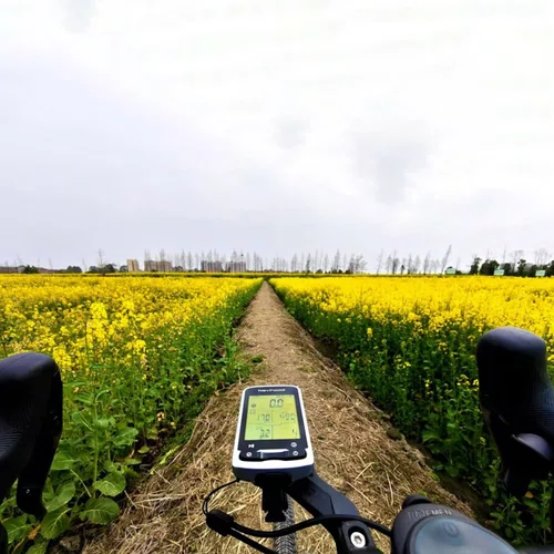 Ciclo Computador GPS Navihood L4