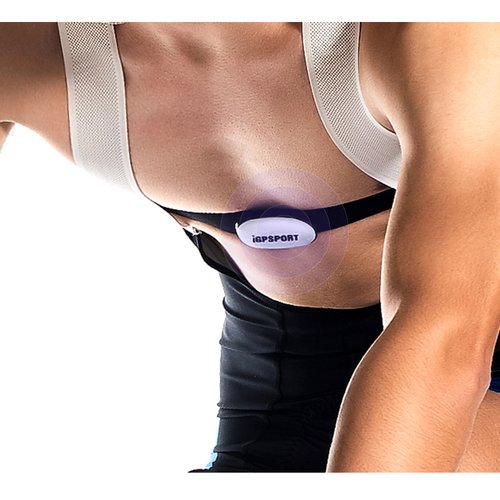 Cinta Cardíaca IgpSport HR40