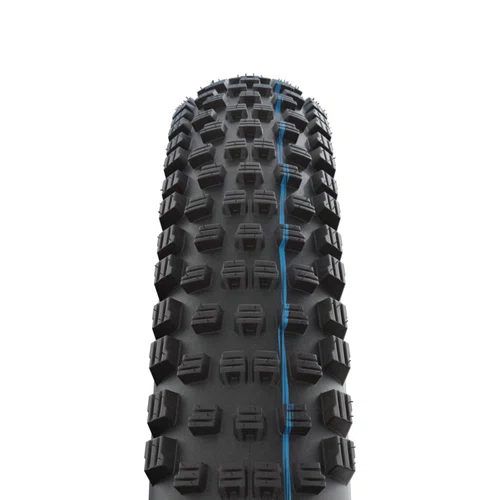 Pneu de Bicicleta Schwalbe Wicked Will Evolution SuperGround Addix TLE 29 x 2.40