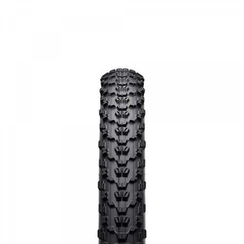 Pneu Maxxis Ardent Exo Protection TR 29x2.40