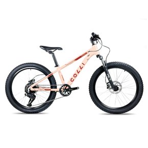 Bicicleta Colli Napoli Pro Aro 24