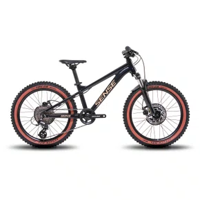 Bicicleta Sense Grom 20 Fun G2 2026