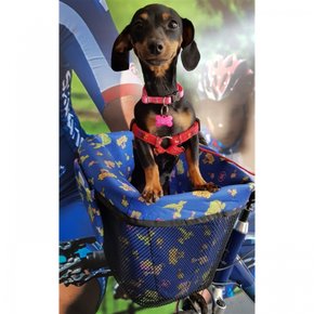 Cesta Aramada Bleckmann Pet Bike