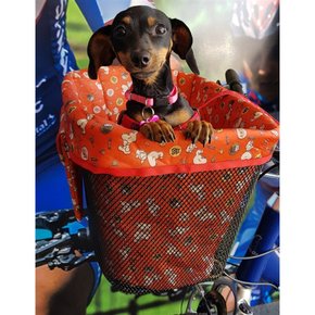 Cesta Aramada Bleckmann Pet Bike