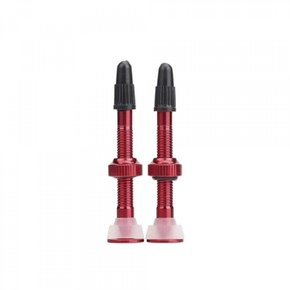 Válvula Tubeless Absolute 48mm