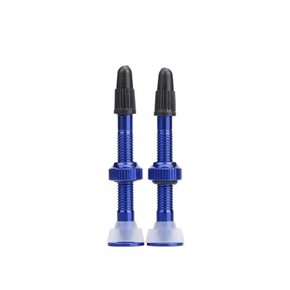 Válvula Tubeless Absolute 48mm