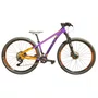 Bicicleta Audax ADX 200