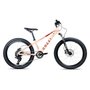 Bicicleta Colli Napoli Pro Aro 24