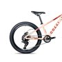 Bicicleta Colli Napoli Pro Aro 24