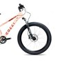 Bicicleta Colli Napoli Pro Aro 24
