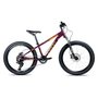 Bicicleta Colli Napoli Pro Aro 24 Bicicleta Colli Napoli Pro Aro 24