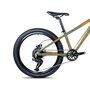 Bicicleta Colli Napoli Pro Aro 24