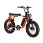 Bicicleta Elétrica StreetGo S12