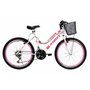 Bicicleta Infantil Athor Musa Aro 24