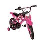 Bicicleta Infantil Unitoys Moto Cross Aro 16