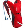 Camelbak Rogue