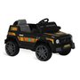 Carro Elétrico Infantil Ecojipe 12V Bandeirante