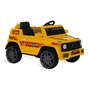 Carro Elétrico Infantil Ecojipe 12V Bandeirante