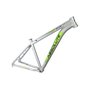 Quadro Absolute Wild 29 2021