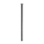 Raio DT Swiss Competition Straightpull 2.0/1.8 x 293mm