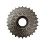 Roda Livre Xindu 7v