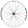 Roda Shimano WH-MT55 29